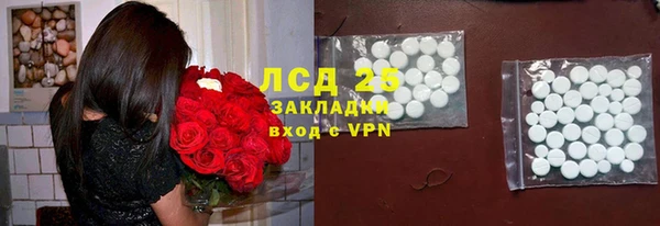 прущие грибы Горнозаводск