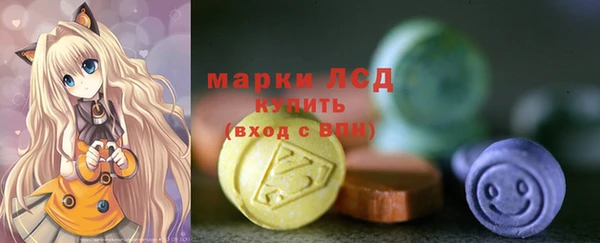 прущие грибы Горнозаводск