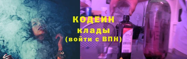 прущие грибы Горнозаводск