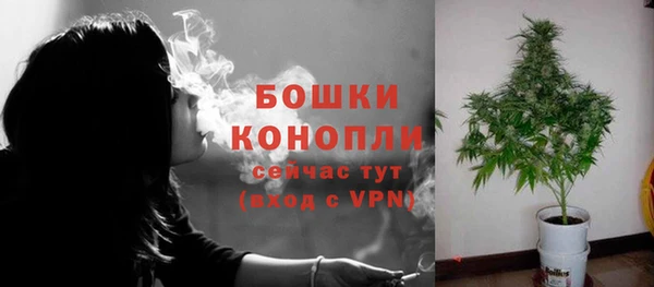 прущие грибы Горнозаводск