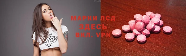 спиды Горняк
