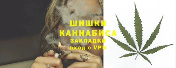 прущие грибы Горнозаводск