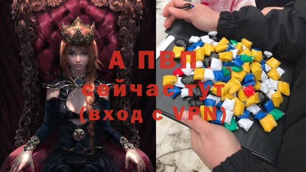 спиды Горняк