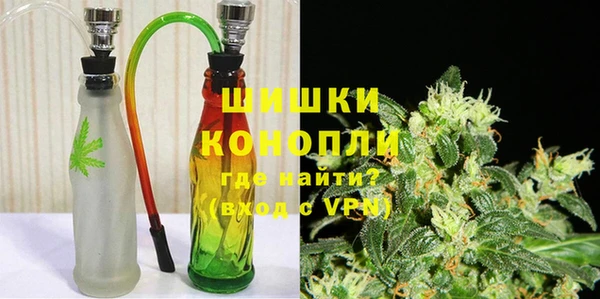 прущие грибы Горнозаводск
