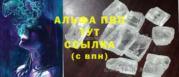 МДПВ Горно-Алтайск