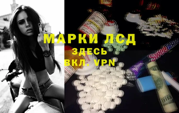 прущие грибы Горнозаводск