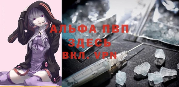 прущие грибы Горнозаводск